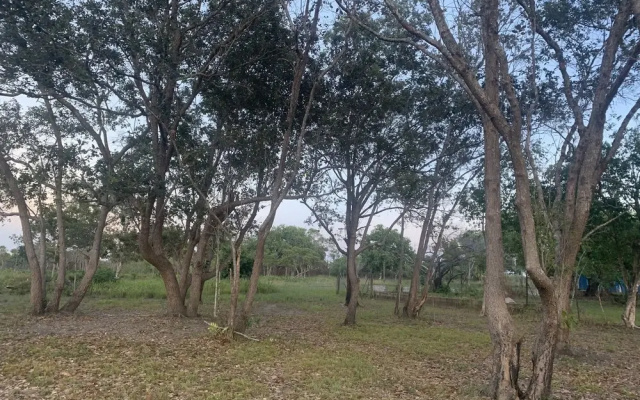 Odum shangri-la Belize