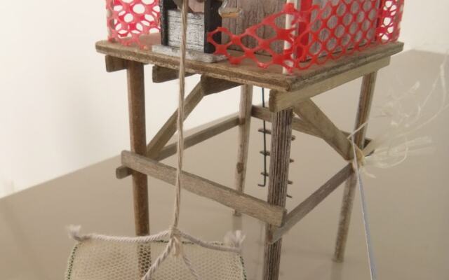 Terre et Gironde en Médoc