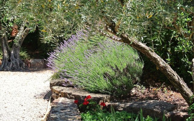 The Gîte Moulin au Viala du Bosc 34700