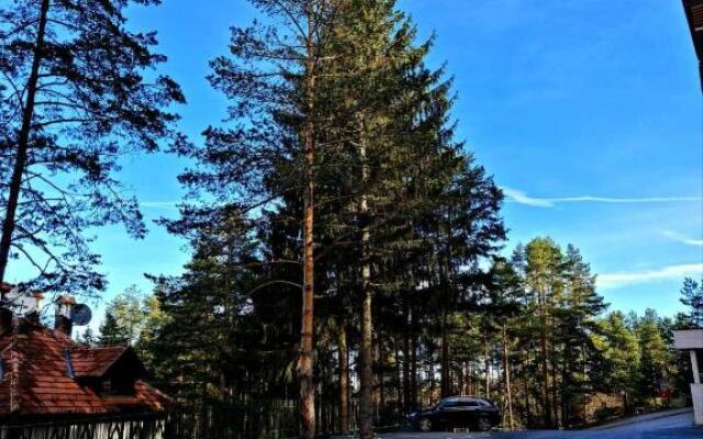 Lux apartman Zlatibor S14 - vila Peković