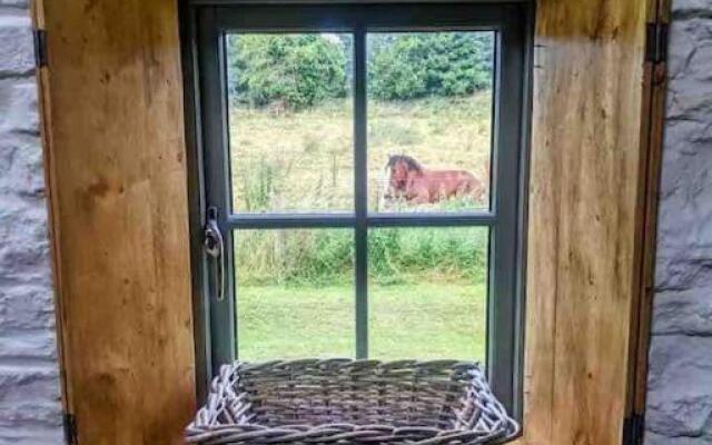 Hopesgate Cottage - Roscrea