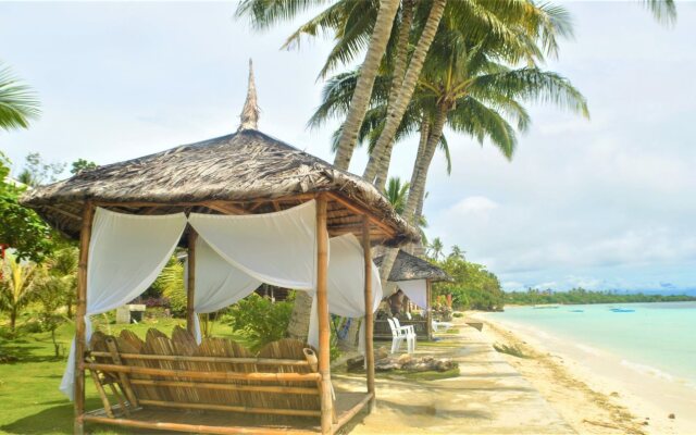 Toris Paradise