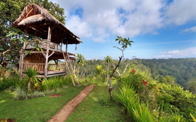 Nandini Jungle by Hanging Gardens