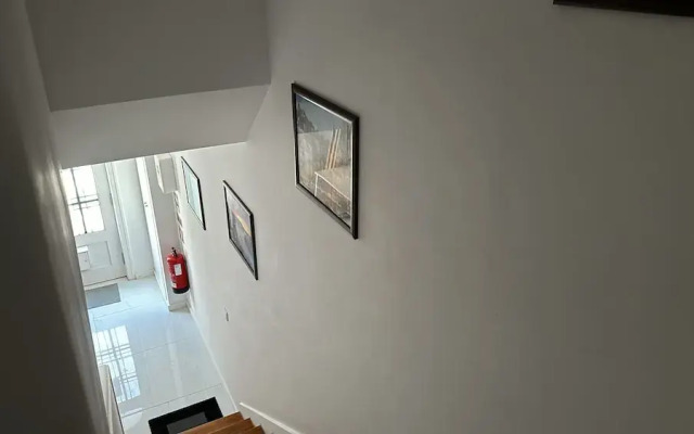 Owls Hostel Ribeiro