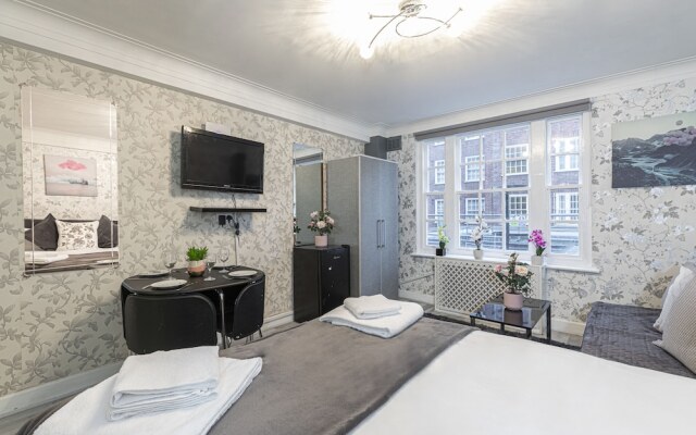 Bright, Lovely Studio in the Heart of London