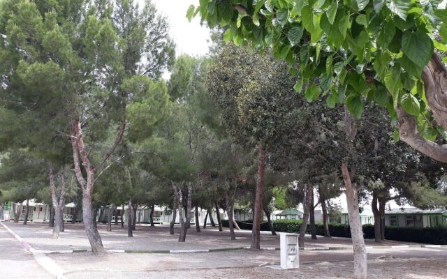 Camping La Paz