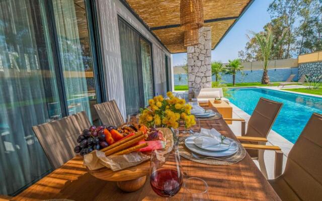Viohouses-Luxury Private Villas Fethiye