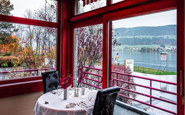 Hôtel Bellevue Le Rocheray
