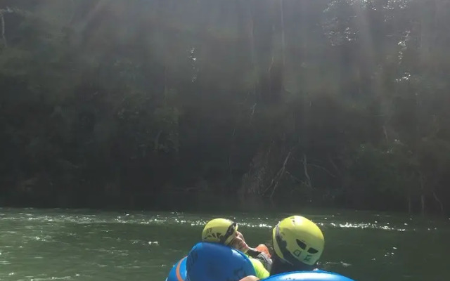 Howler Monkey Resort