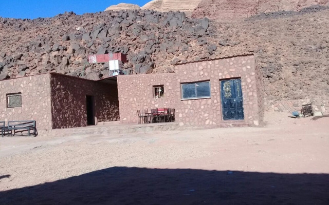 Wildlife Camp