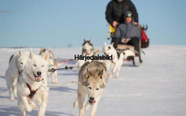 Skalshöjden Vemdalsskalet