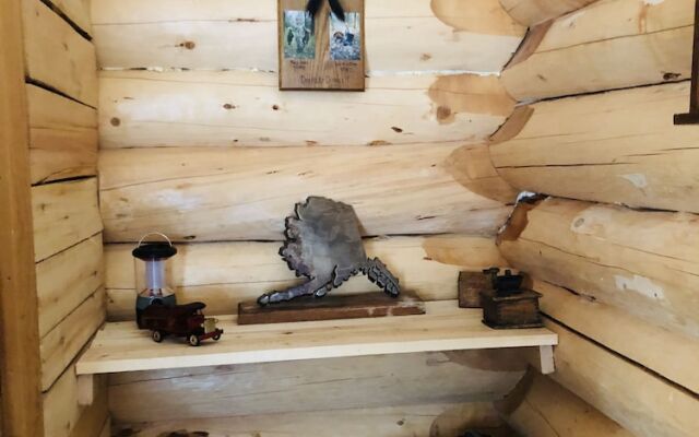 Wrangell Mountain Lodge