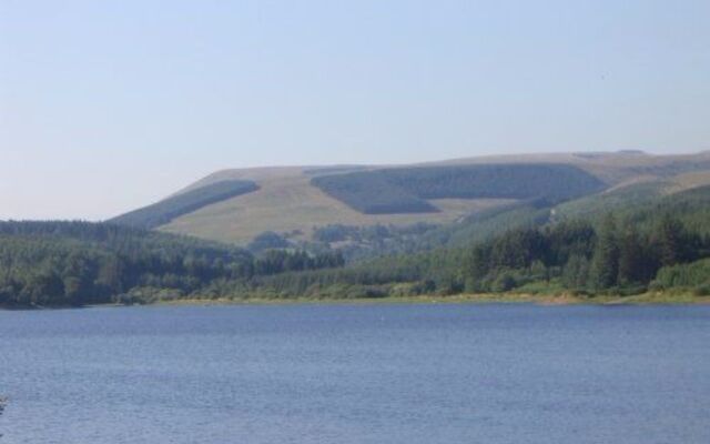 Llwyn Onn Guest House