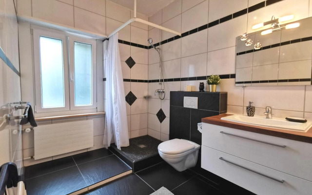 Apartments Steinbock