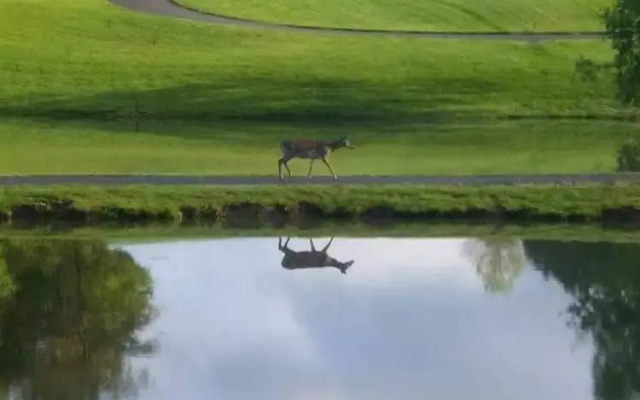 Woodlake Lodge Golf and Country Club
