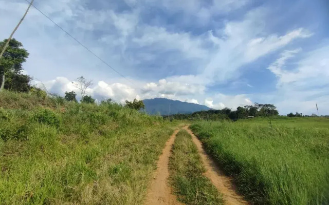 Griya Suminar Bogor