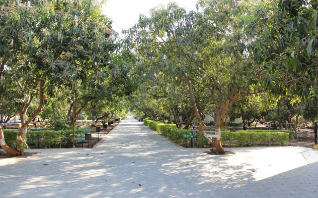 Gir Jungle Lodge