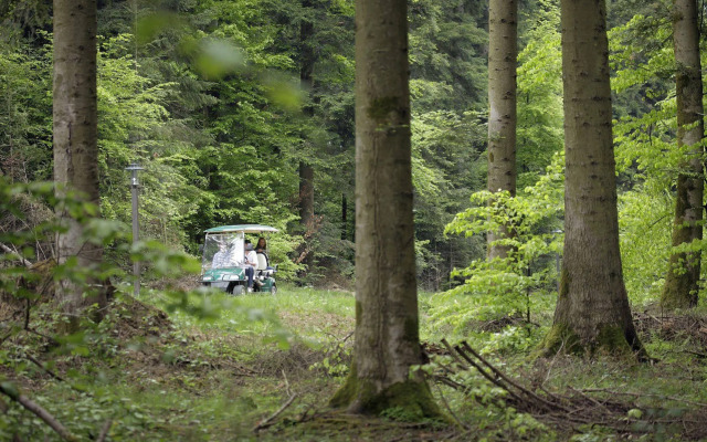 Center Parcs Les Trois Forêts