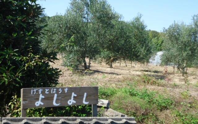 Guesthouse Yoshiyoshi