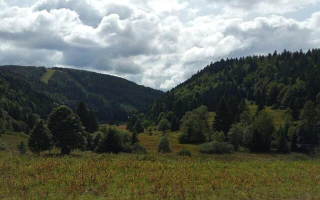 LA BRESSE - Appartement de Charme 3*