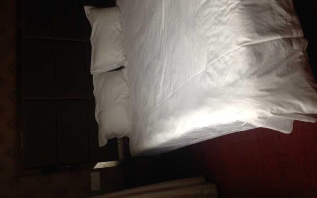 Chenyu Shangwu Hotel