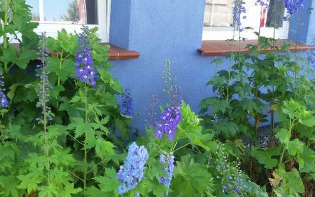 Delightful Apartment in Pruchten near Zingst Sea