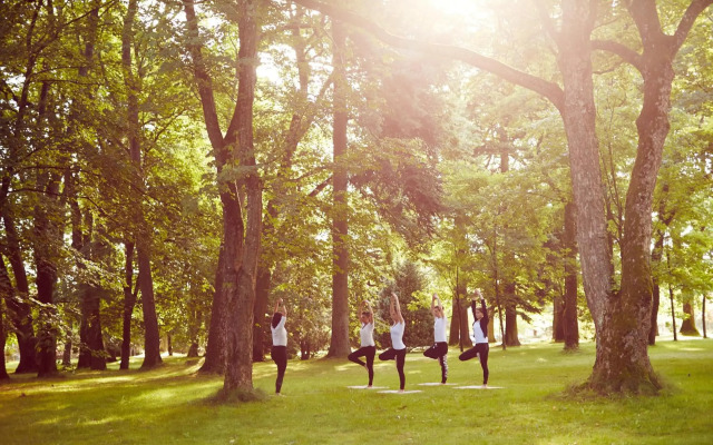 Pałac Ciekocinko Hotel Resort & Wellness