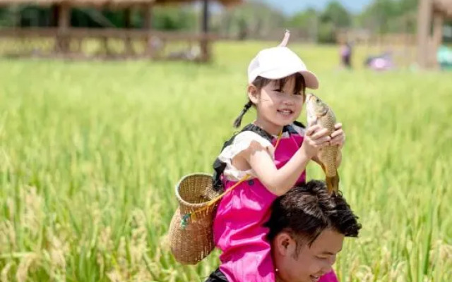 wushengJingyuan daizuyuan Branch)