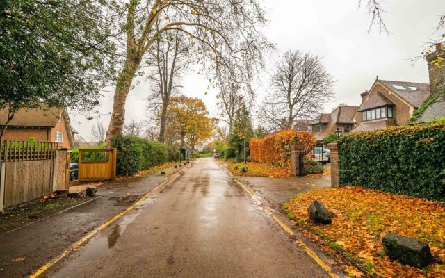 Charming Wimbledon Park Home close to Putney Heath