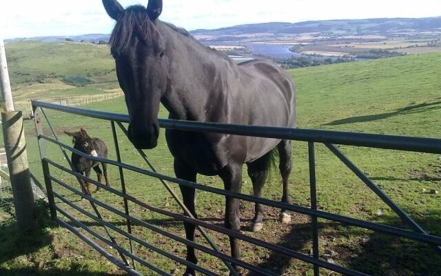 Northlees Farm