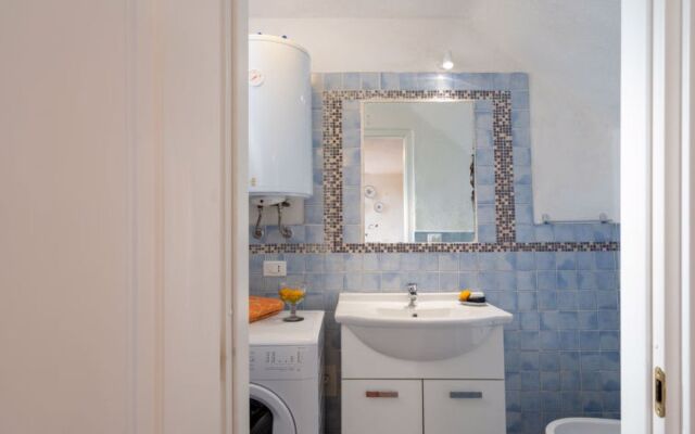 Maria Luisa (DOL286)