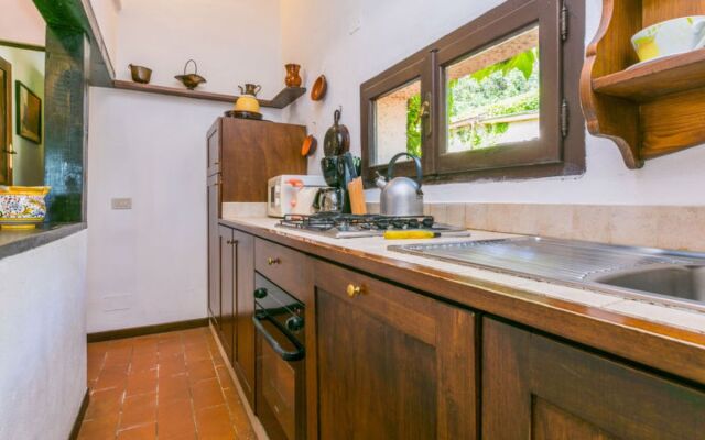 Bardeggiano - Caterina 4 (COL247)