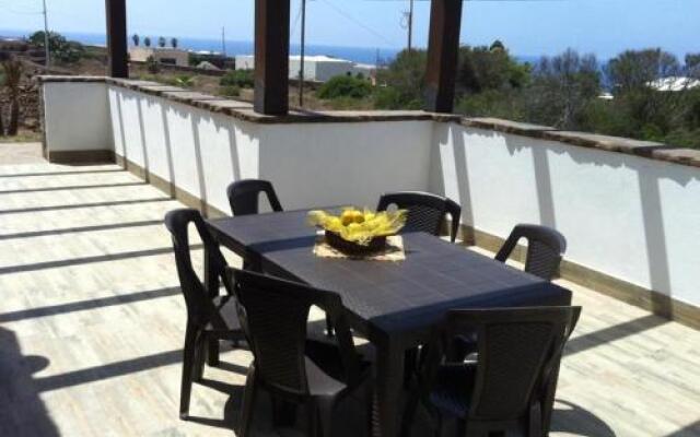 Dammusi Gold - Raffy