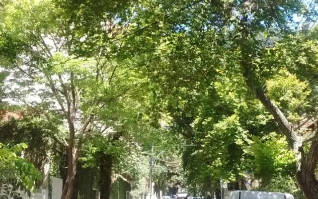 Apartamento Parque Jardim Europa