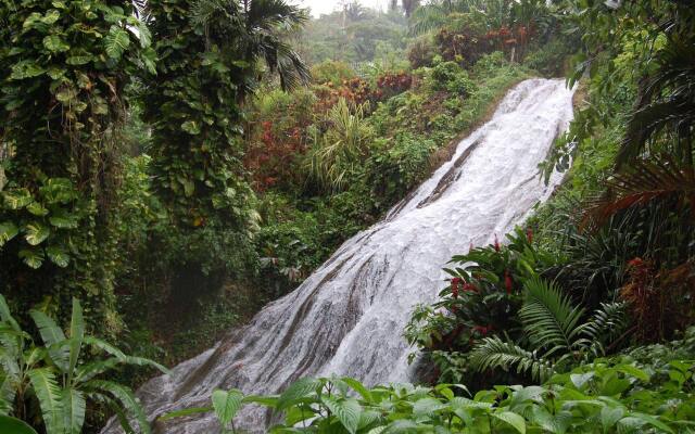 Inn at Shaw Park Gardens & Waterfalls