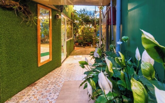 Robins Guesthouse