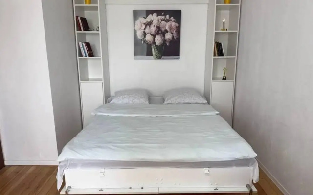 Апартаменты Манго на улице Советская 56