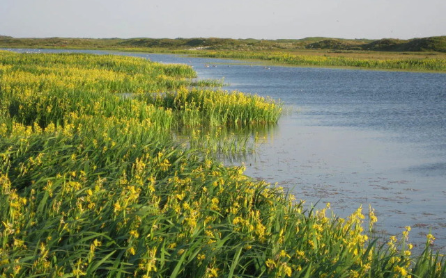 Residentie Californië