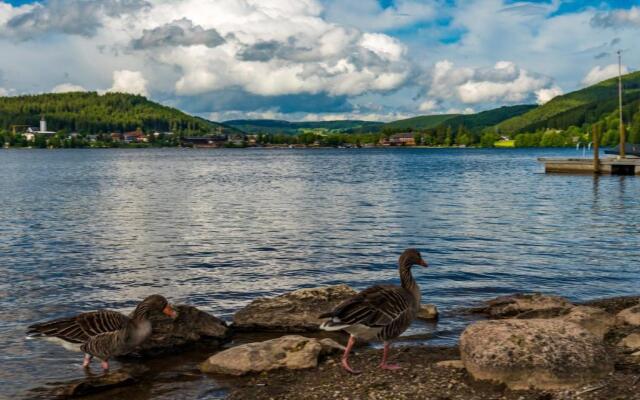 Drei Tannen - Wohnung 06 - Apartmenthaus, Titisee, nahe Badeparadies