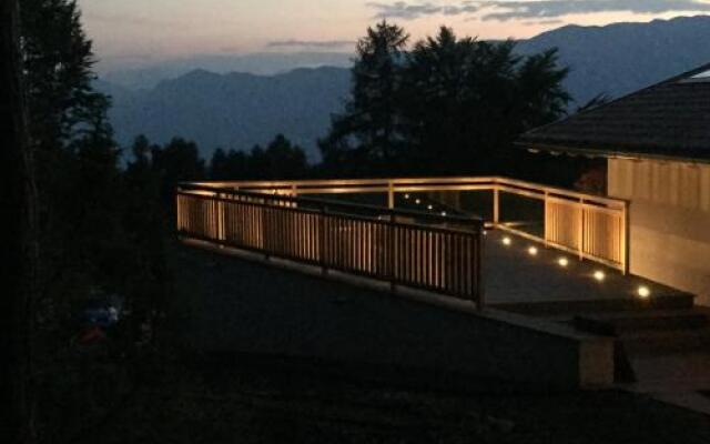 Ly's Nest