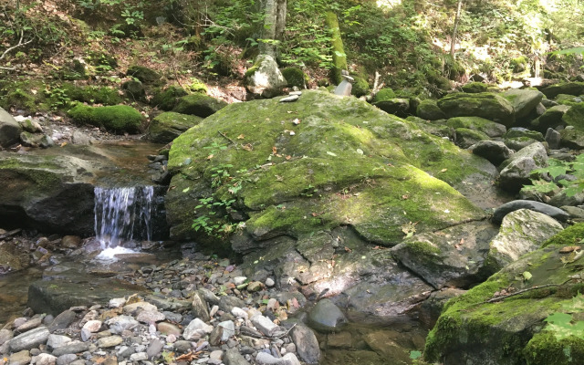 La Maison de Ville - bed & bistro