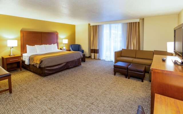 Comfort Inn Downtown