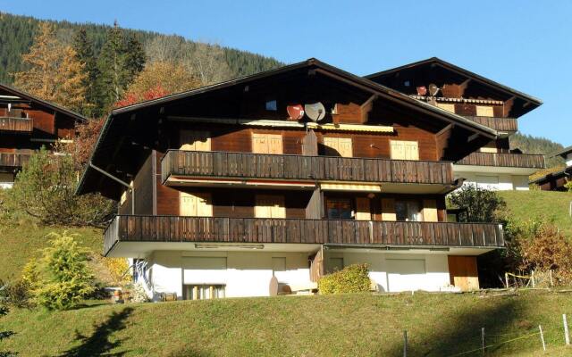 Apartment Grindelwaldgletscher - Griwarent Ag