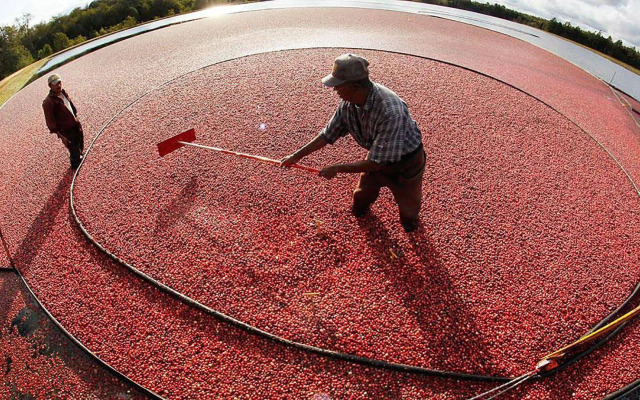 Frederick William House