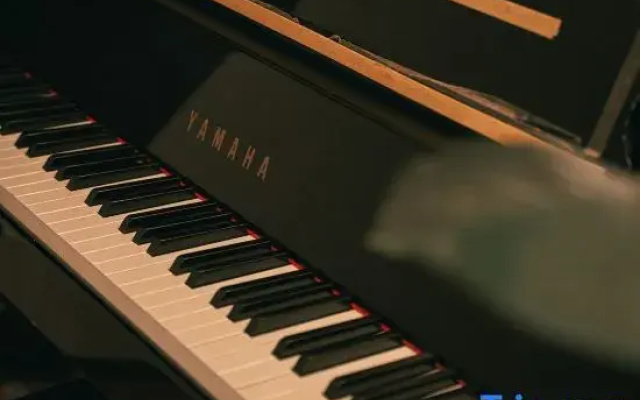 Studio House Grand Piano / near JR Shinjuku stn