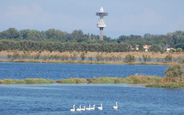 Modern Apartment in Rosolina near Sea