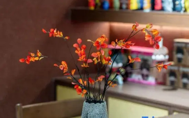 Yi  Hao   Mei    Ju