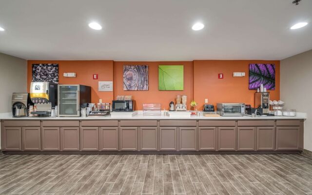 Microtel Inn & Suites by Wyndham Decatur