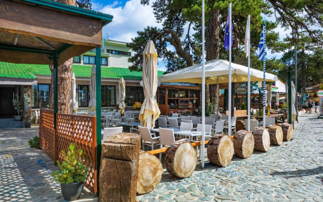 Troodos Hotel