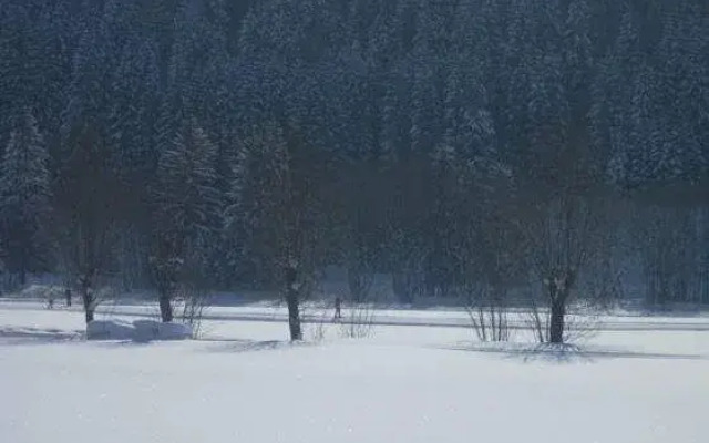 Appartements Carinthia